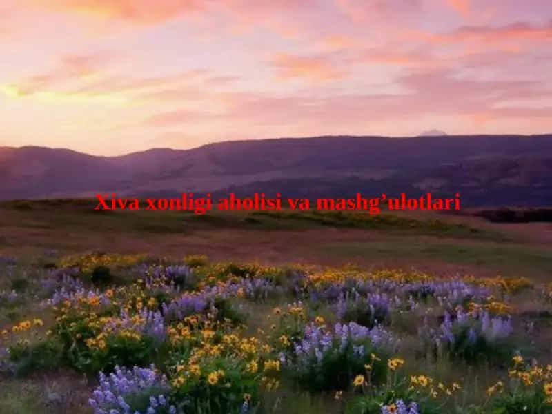 Xivaxonligiaholisivamashg’ulotlari 1