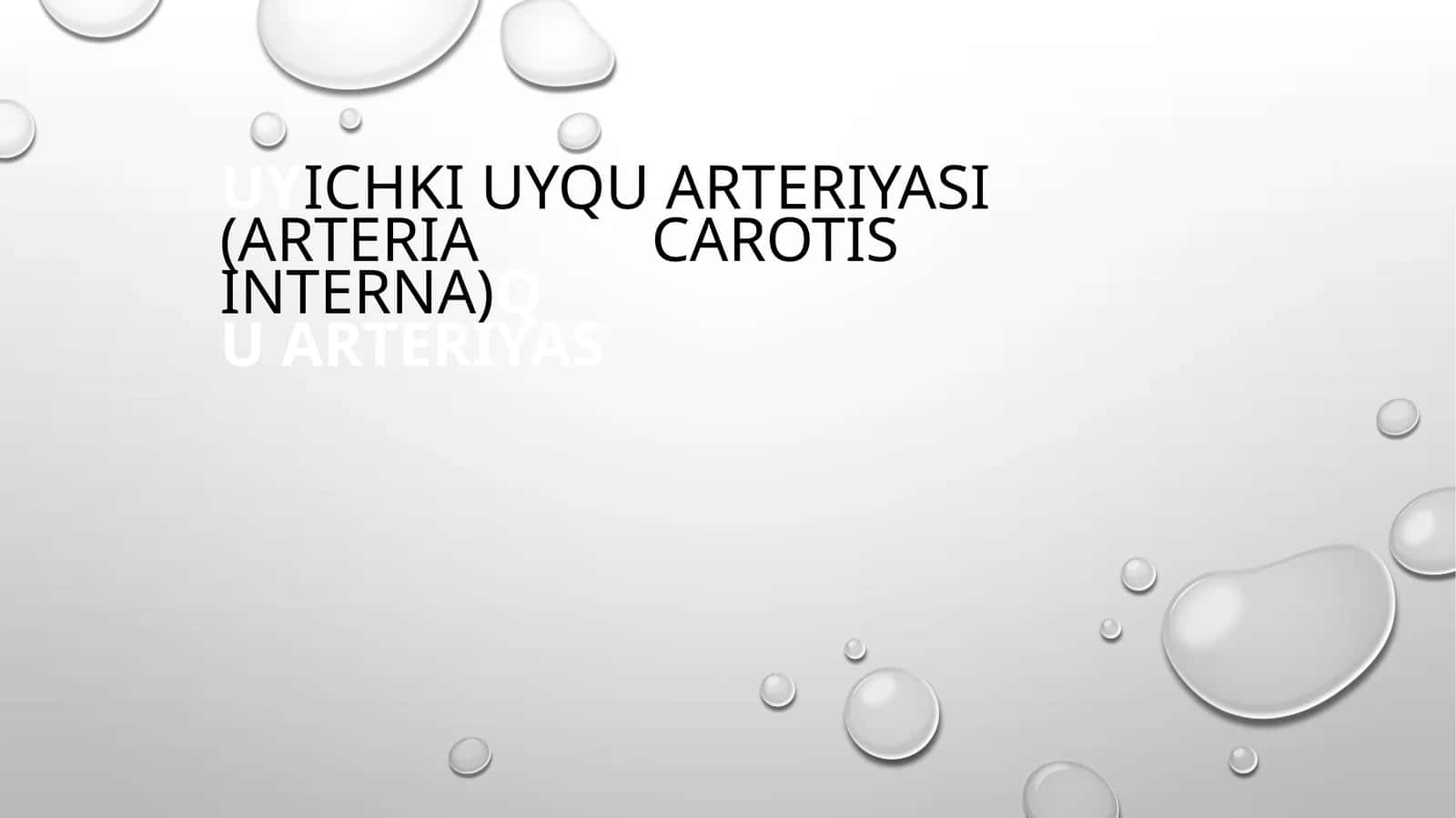 uyICHKIUYQU ARTERIYASI (ARTERIA CAROTIS INTERNA) 1
