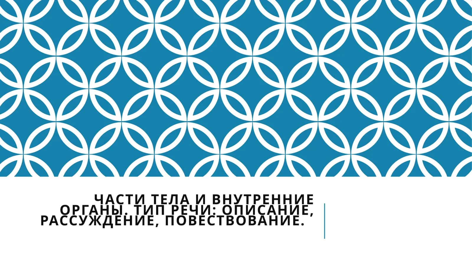 Органы тела человека 1