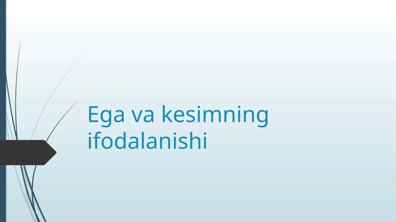 Ega va kesimning ifodalanishi 1