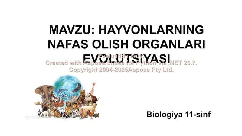 HAYVONLARNING NAFAS OLISH ORGANLARI EVOLUTSIYASI 1