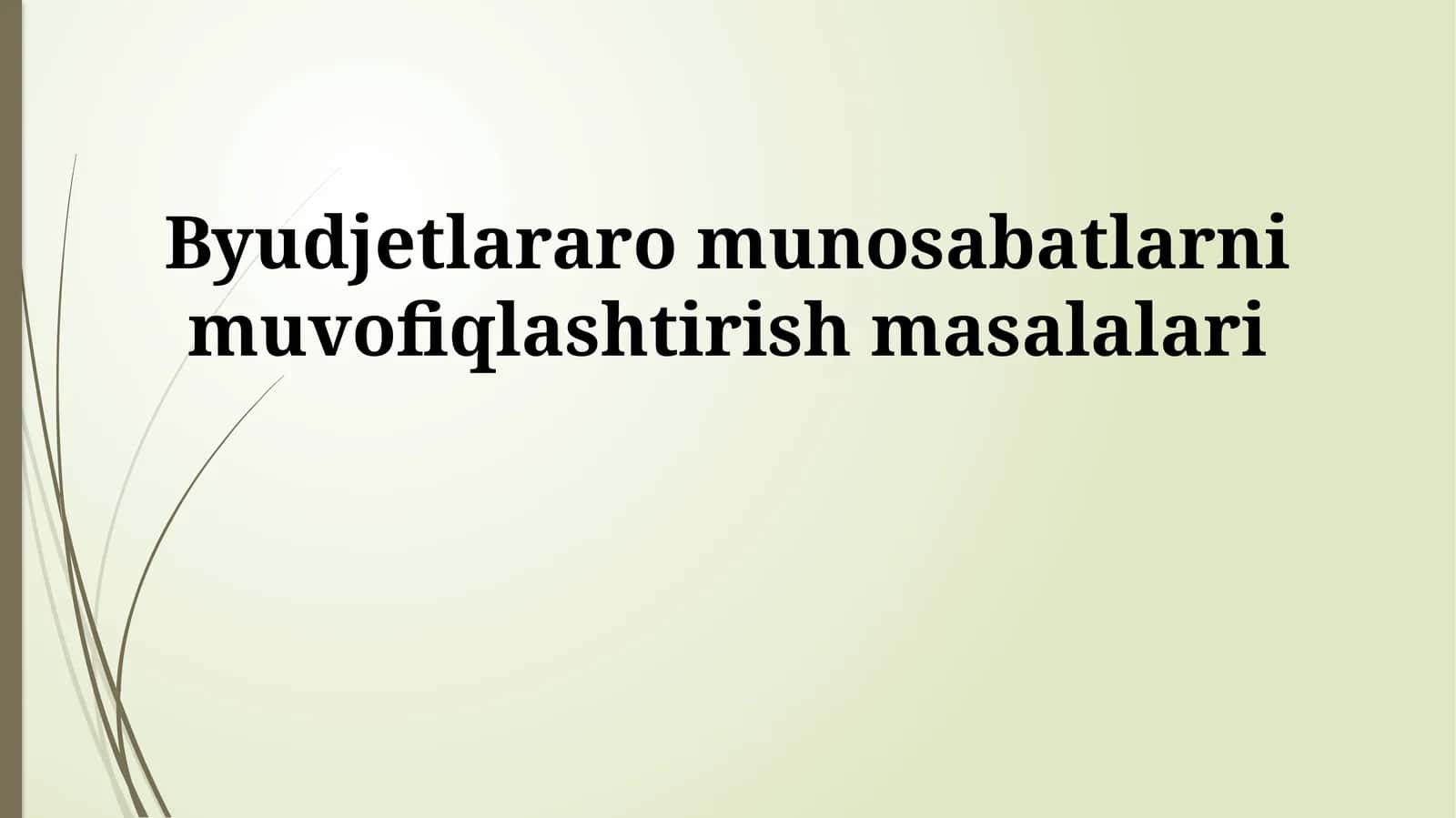 Byudjetlararo munosabatlarni muvofiqlashtirish masalalari 1