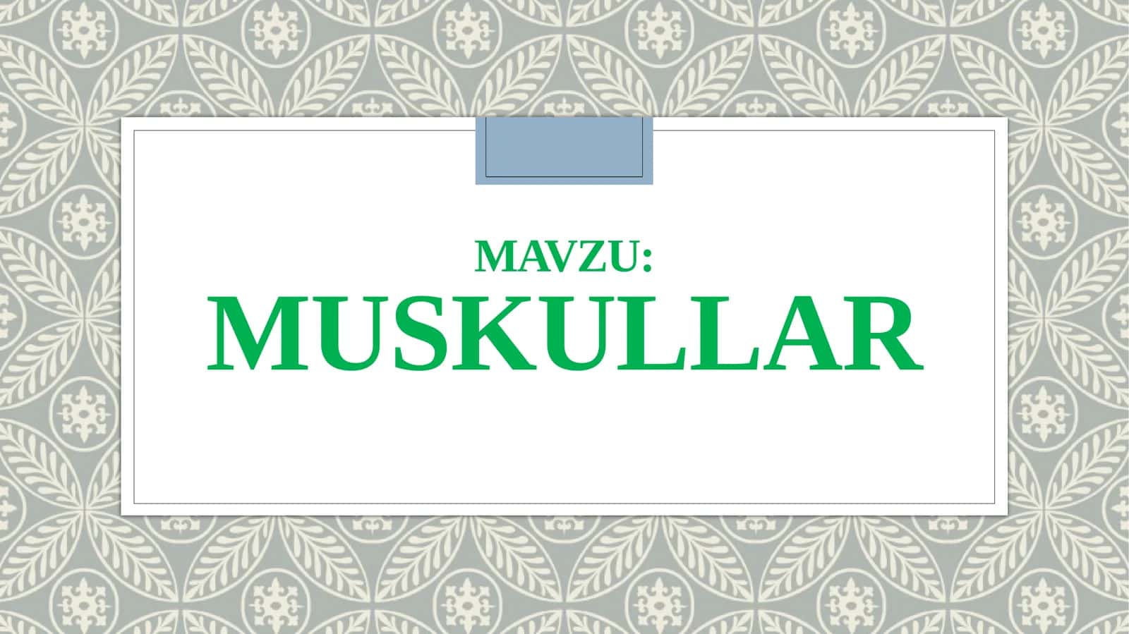 Muskullar 1