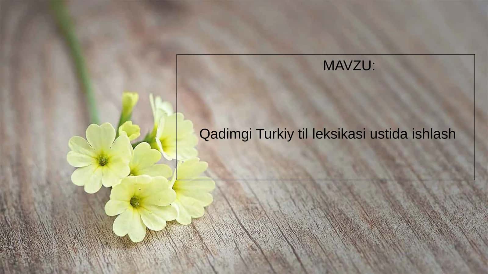 Qadimgi Turkiy til leksikasi ustida ishlash 1