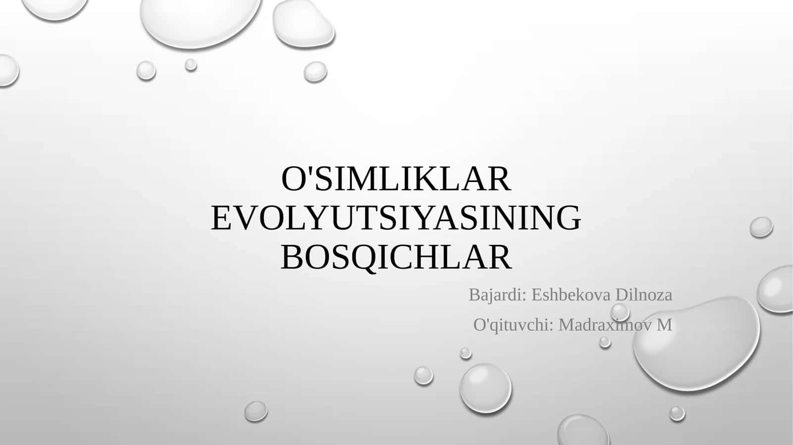 O'simliklar evolyutsiyasining bosqichlar 1