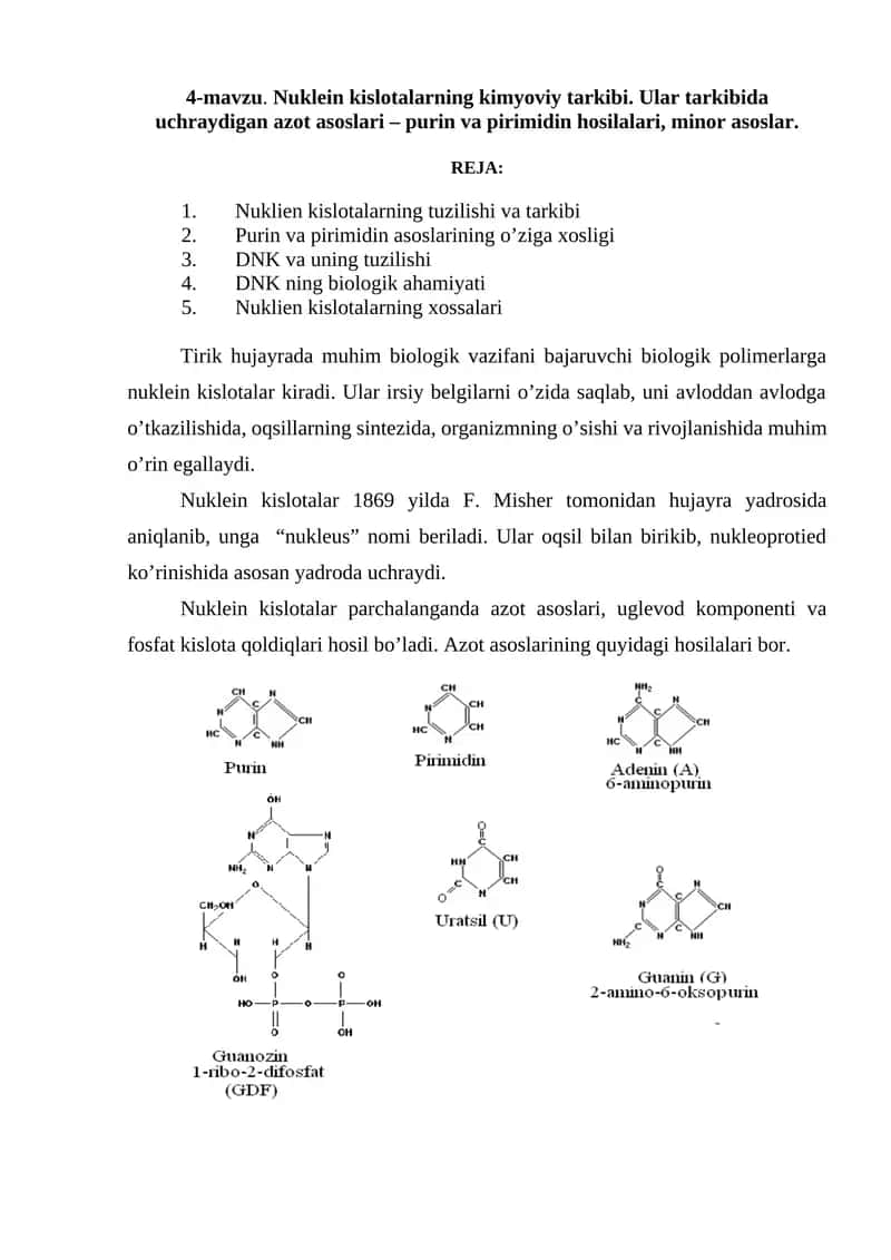 Nuklein kislotalarning kimyoviy tarkibi 1