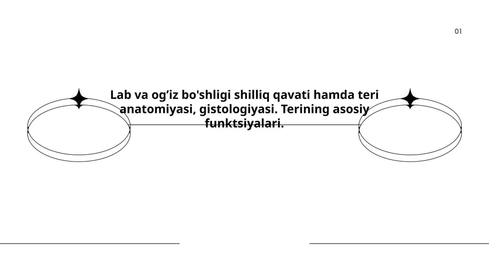 Terining anatomik tuzilishi 1
