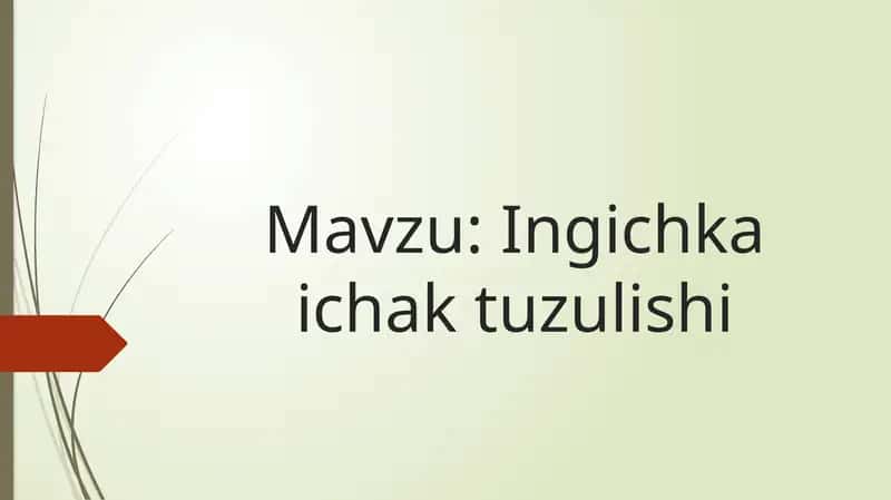Ingichka ichak tuzulishi 1