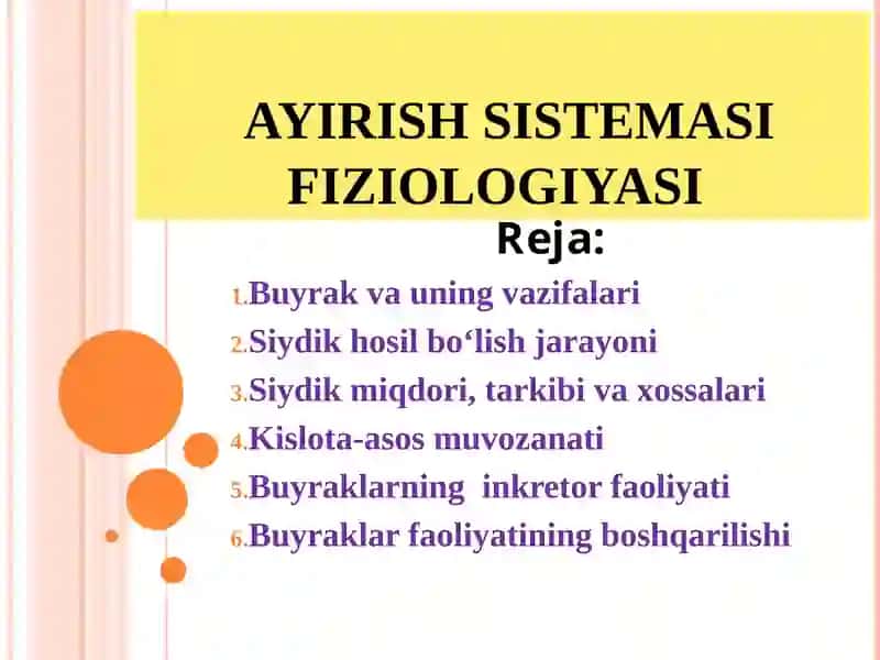 Ayirish Sistemasi Fiziologiyasi
