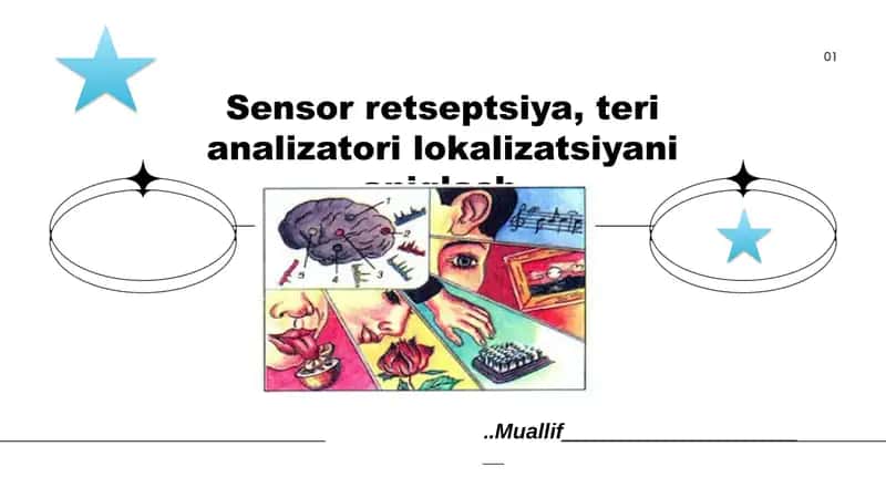 Sensor retseptsiya, teri analizatori lokalizatsiyani aniqlash 1
