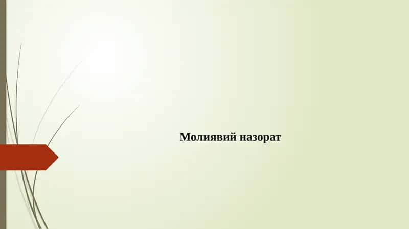 Moliyaviy nazorat 1