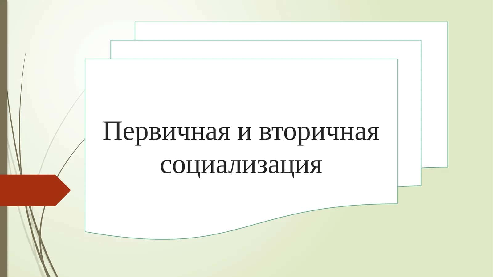 Первичная и вторичная социализация 1