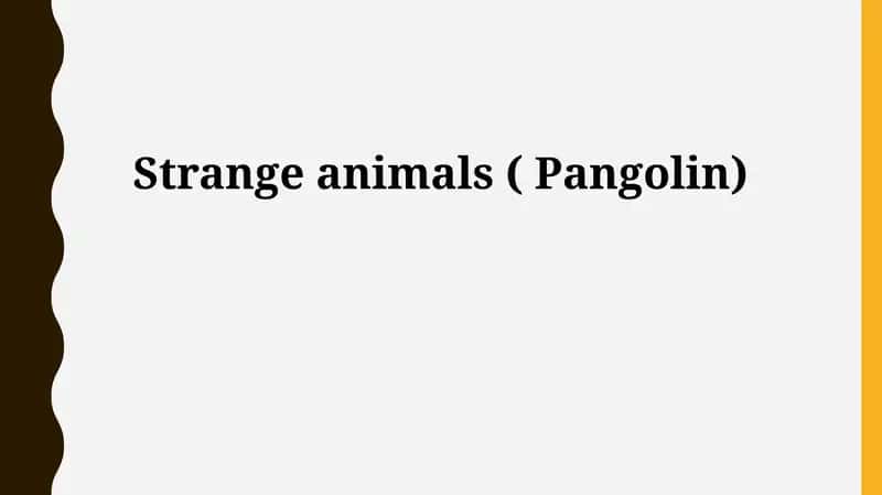 Pangolin 1