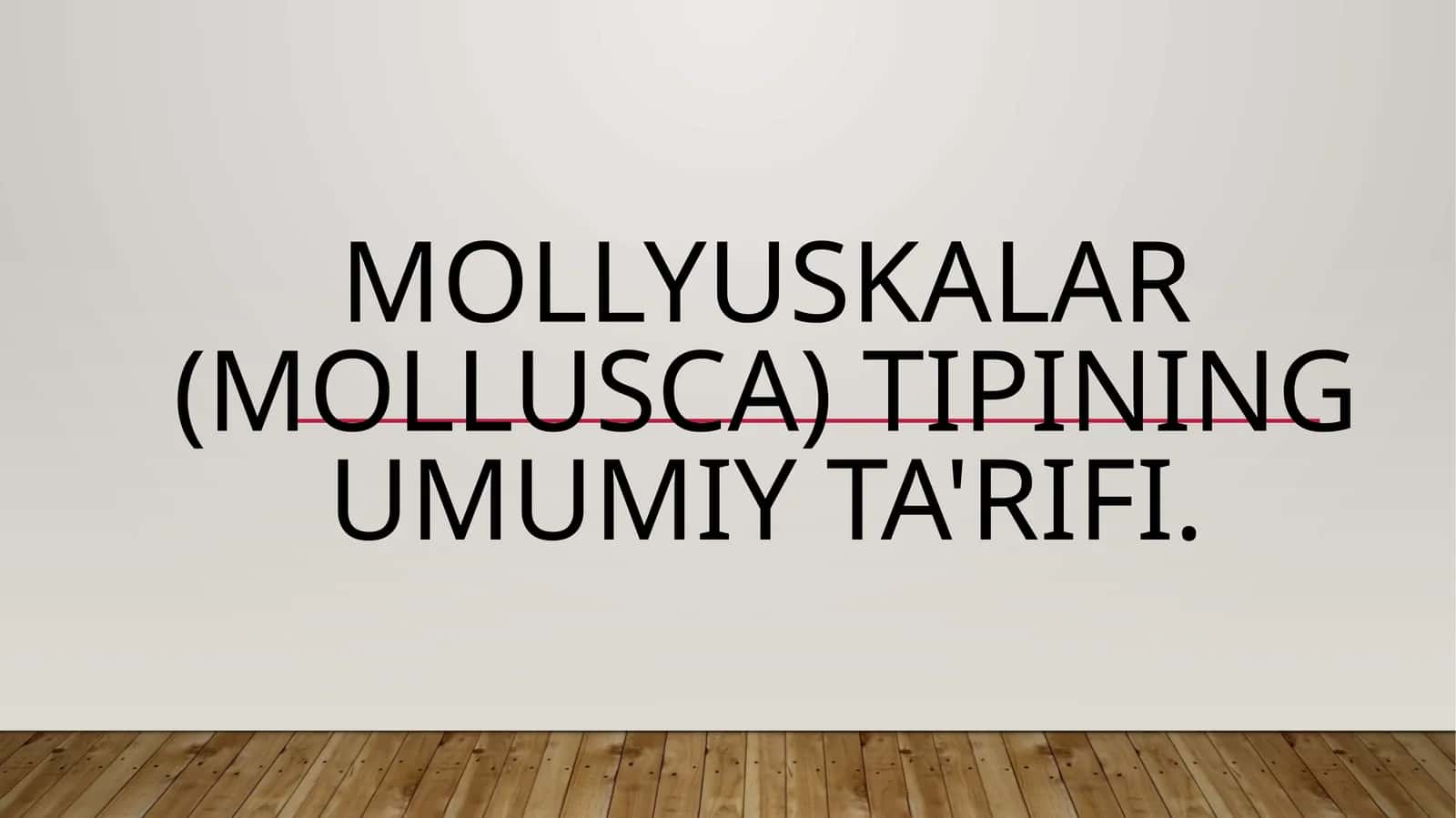 Mollyuskalar (Mollusca) tipining umumiy ta'rifi. 1