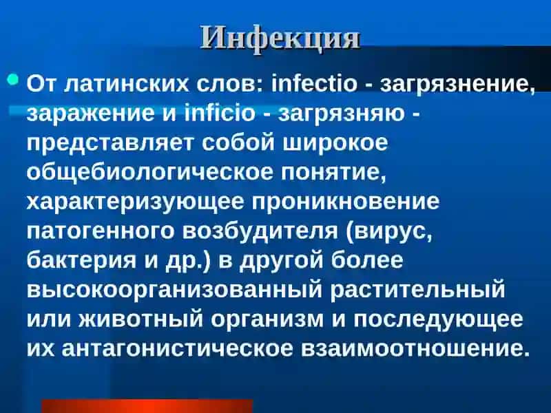 Инфекция
