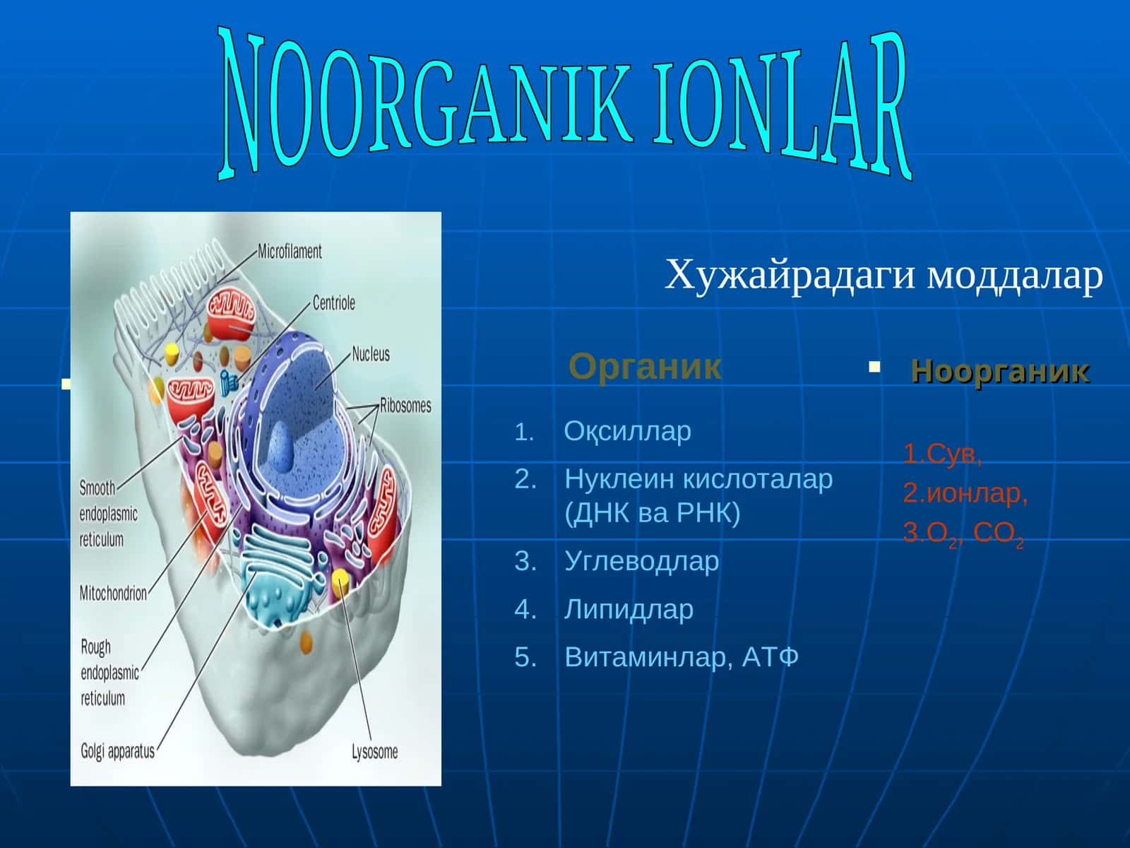 Ноорганик 1