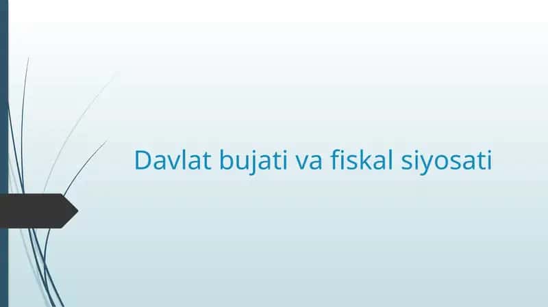 Davlat iqtisodiy siyosati 1
