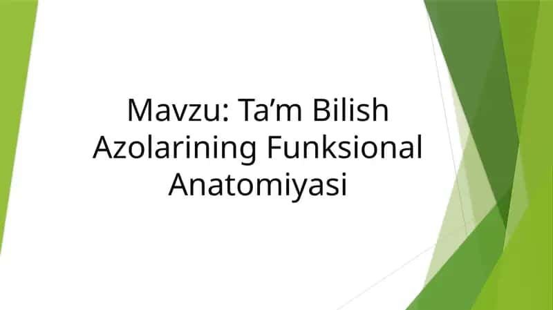 Ta’m Bilish Azolarining Funksional Anatomiyasi 1