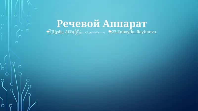 Речевой Аппарат 1