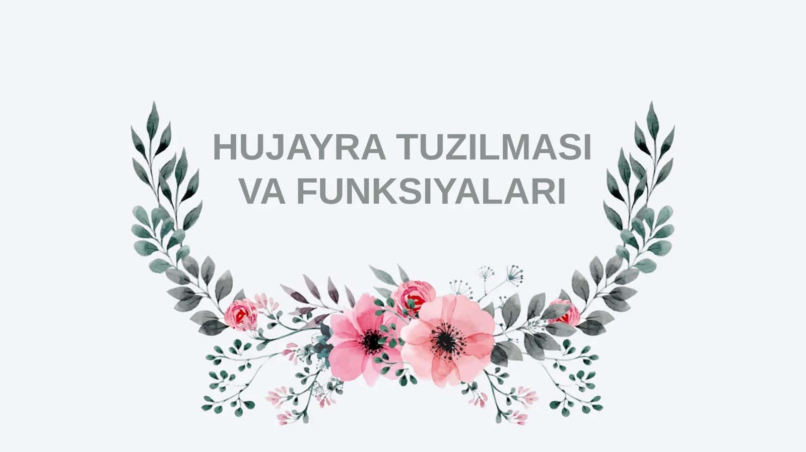 HUJAYRA TUZILMASI VA FUNKSIYALARI 1