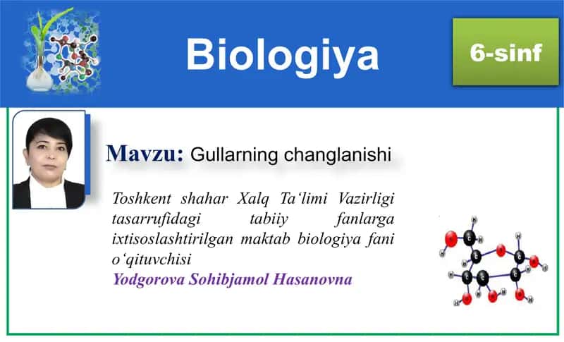 Gullarning changlanishi 1