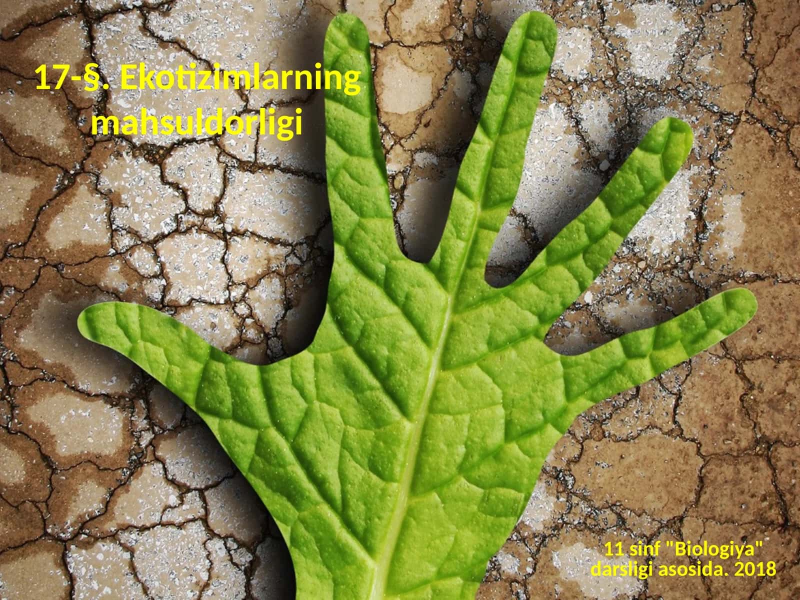 Ekotizimlarning mahsuldorligi 1