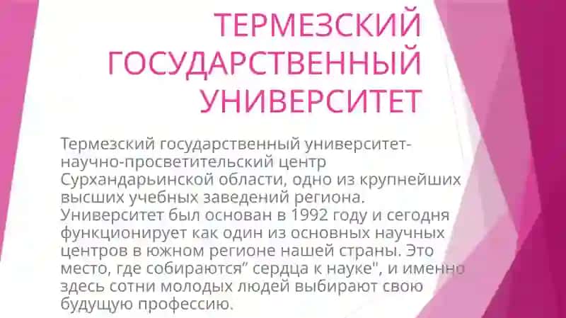 Термезский государственный университет