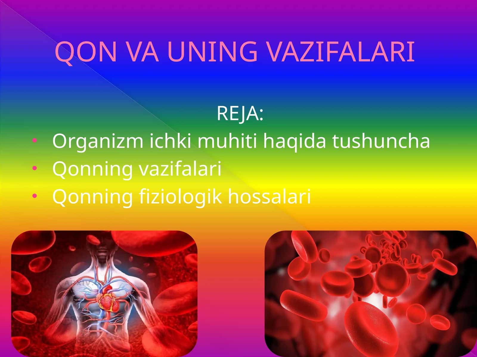 QON VA UNING VAZIFALARI 1