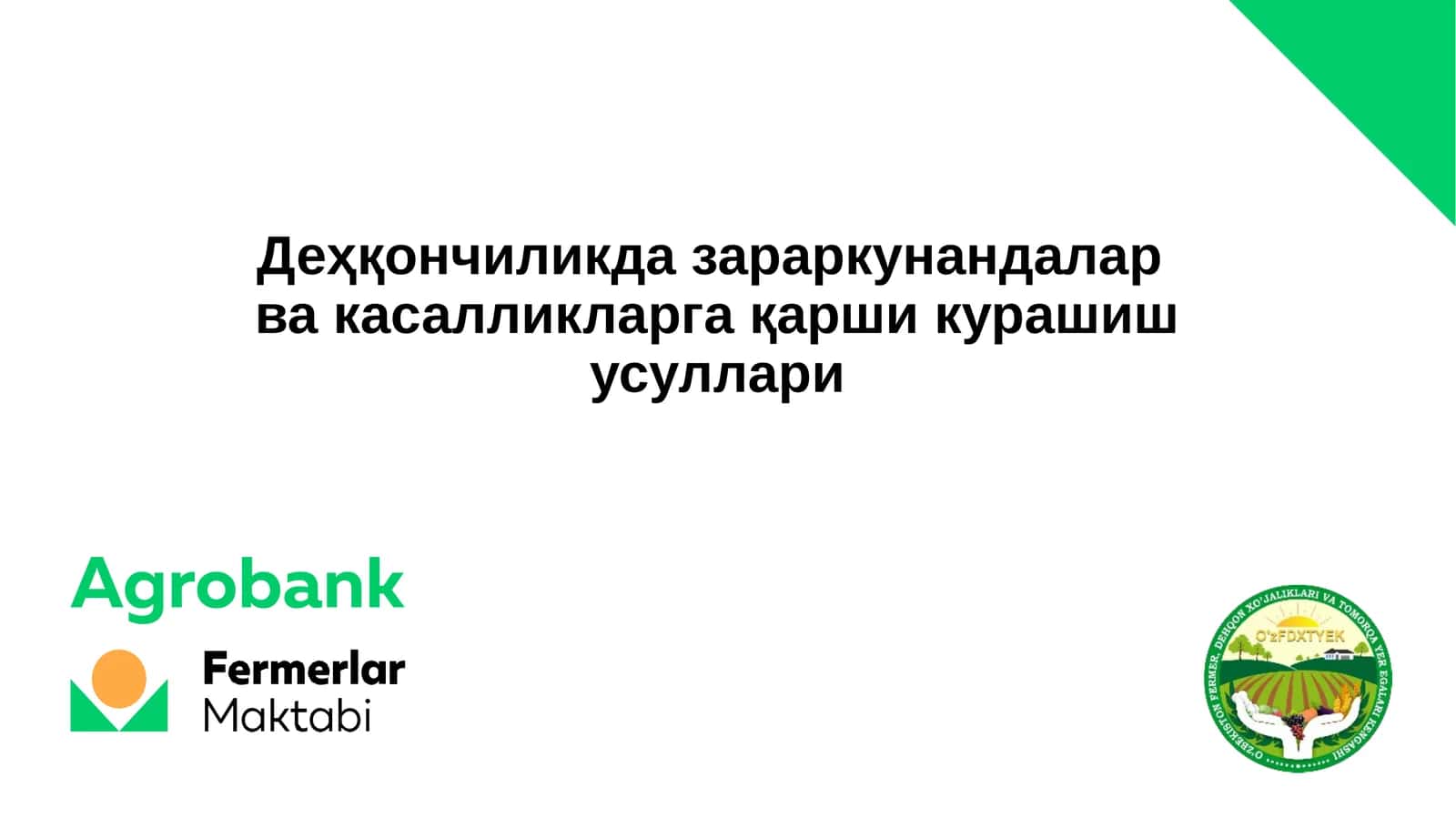 КУЗГИ ТУНЛАМ 1