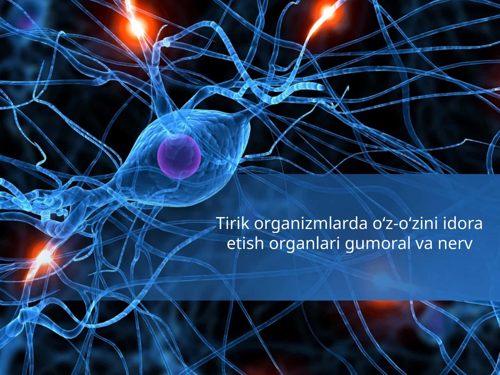 Tirik organizmlar 1