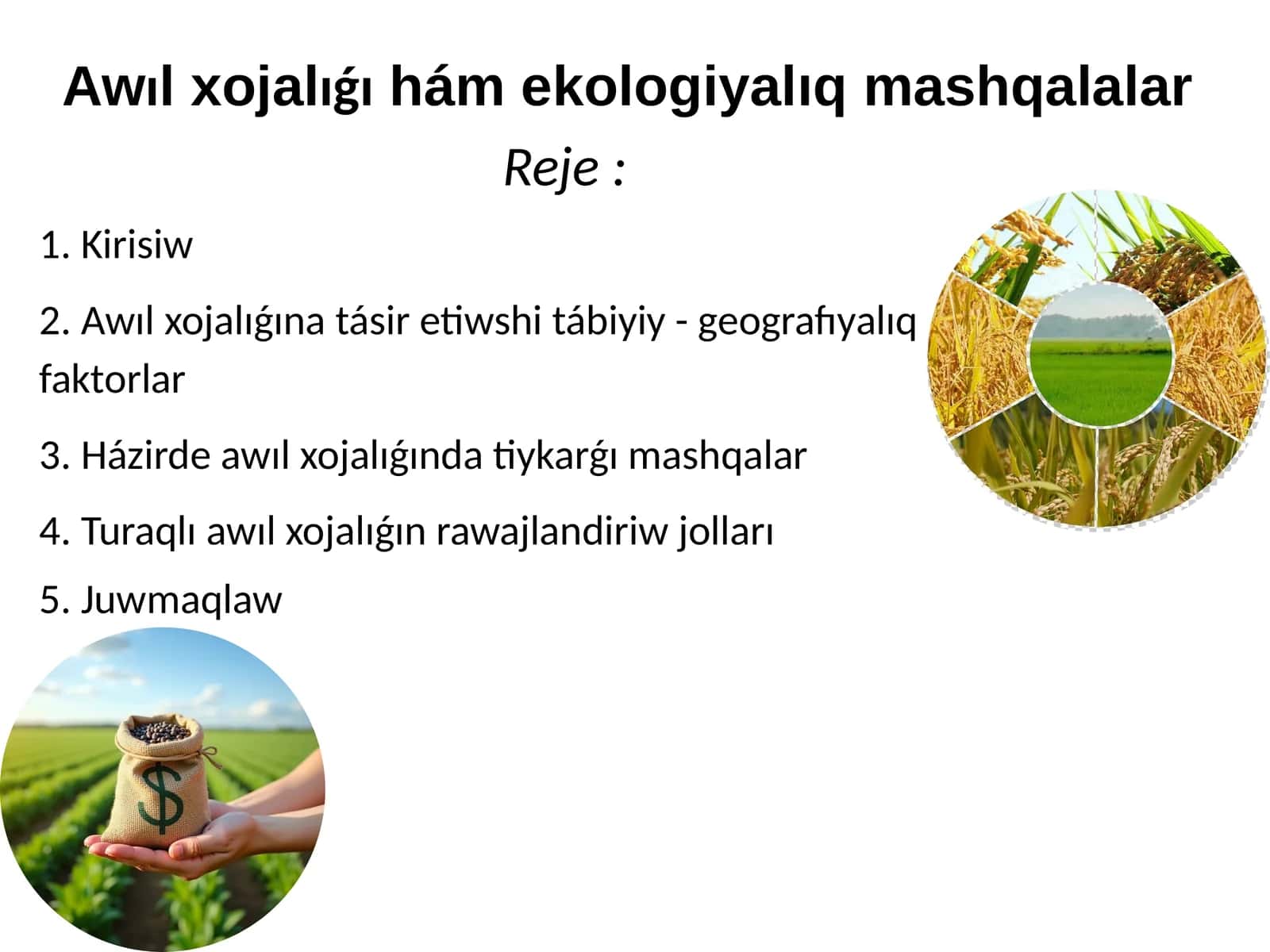 Awıl xojalıǵıhám ekologiyalıq mashqalalar 1