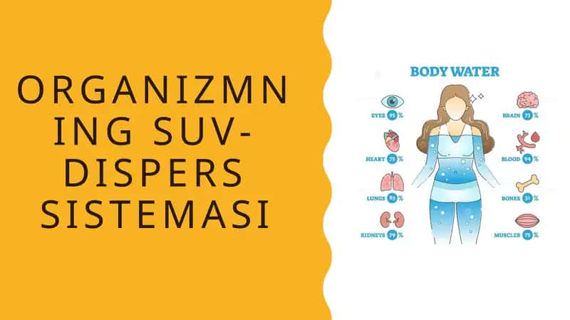 Organizmning suv-dispers sistemasi 1
