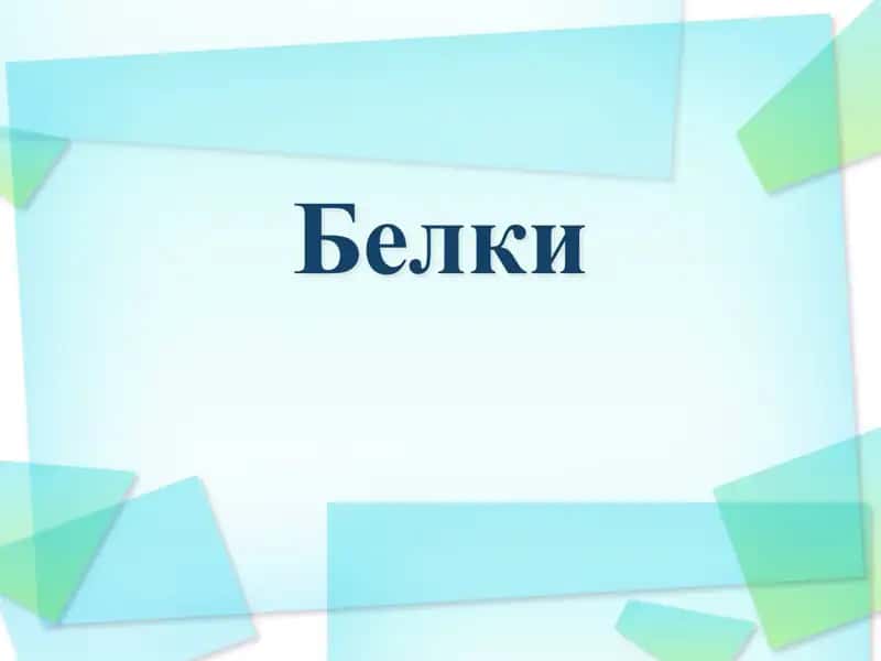 Белки 1