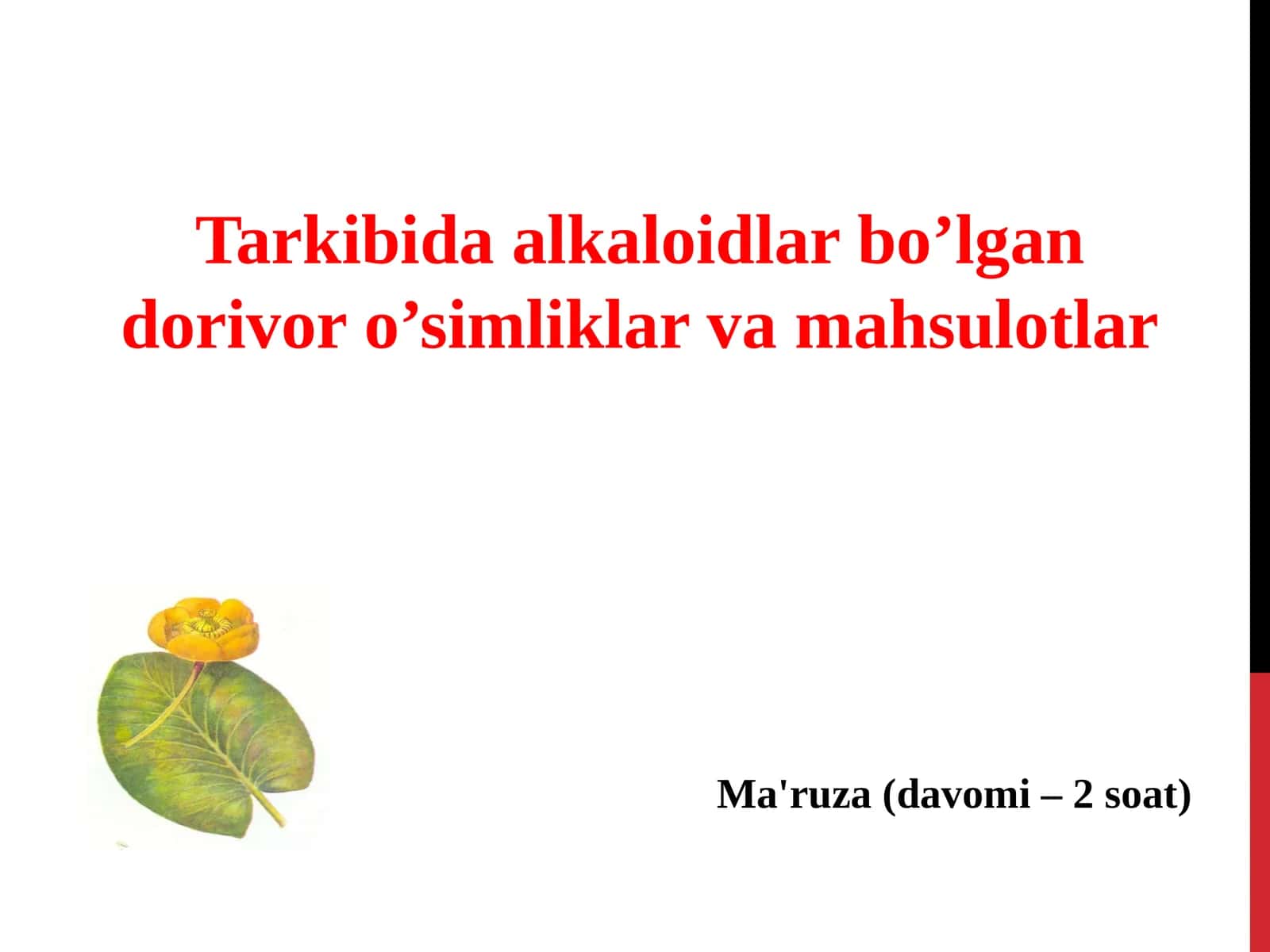 Dorivor o’simliklar 1
