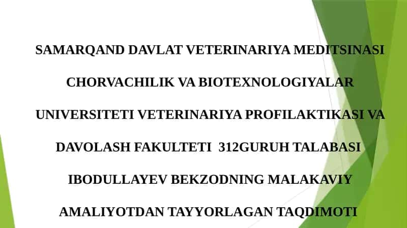Malakaviy Amaliyotdan Tayyorlagan Taqdimoti 1