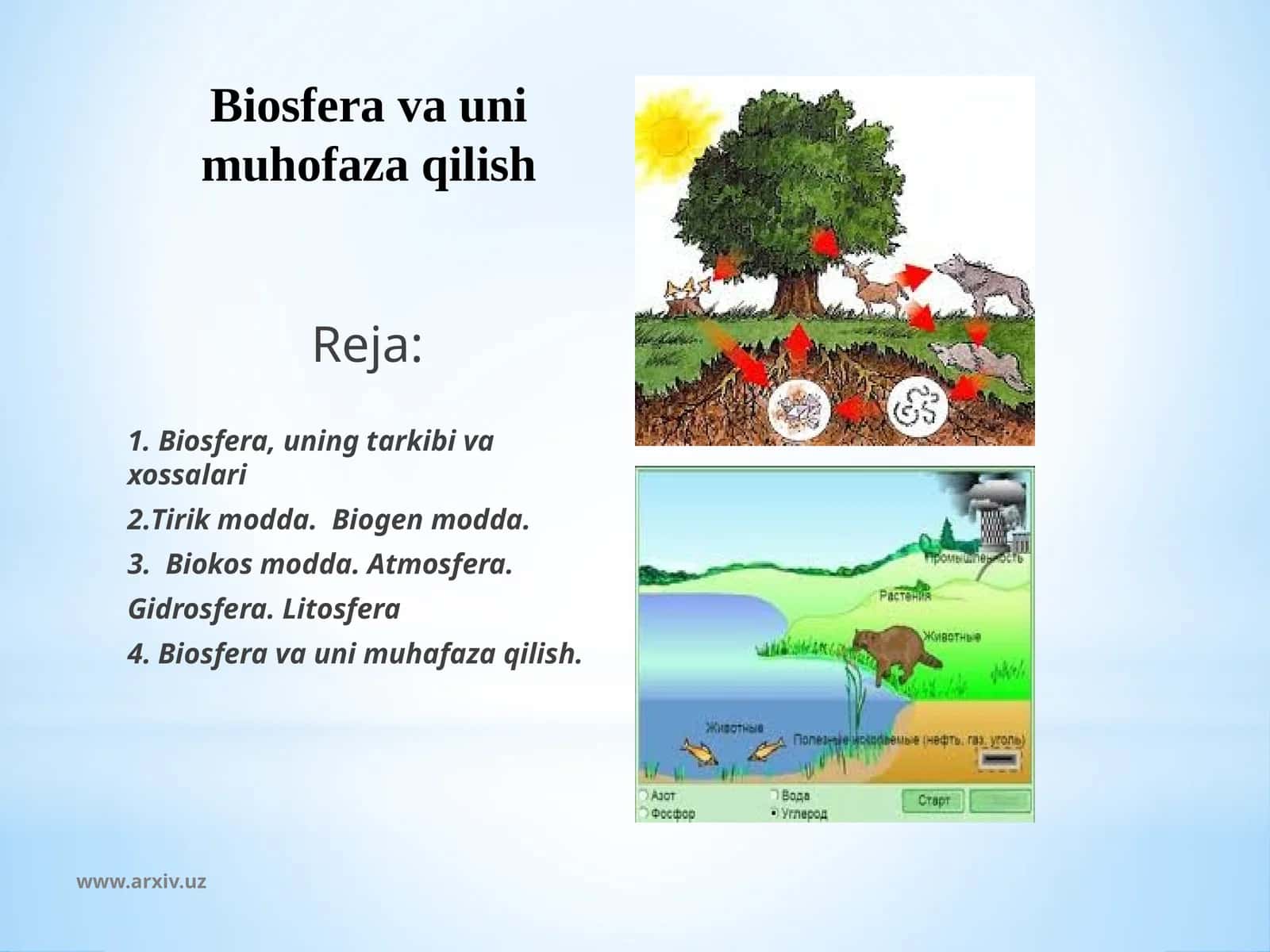 Biosfera va uni muhofaza qilish 1