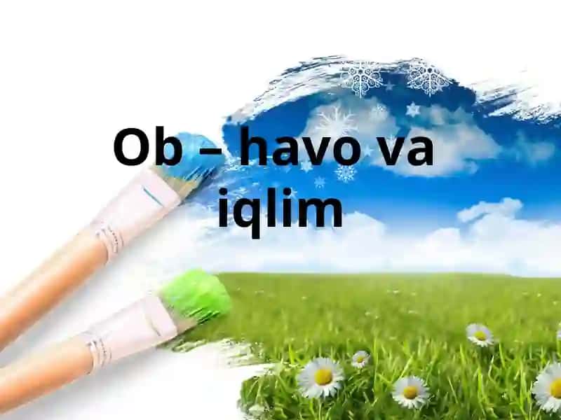 Ob-havo