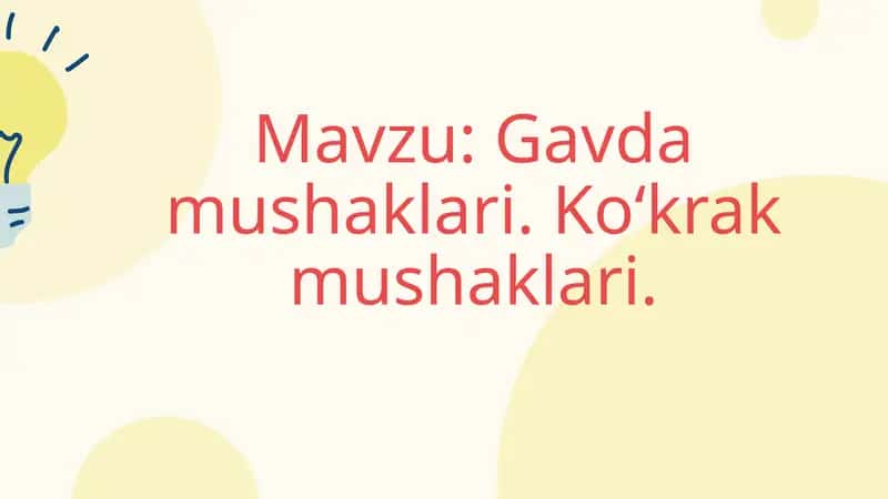 Gavda mushaklari. Ko‘krak mushaklari 1
