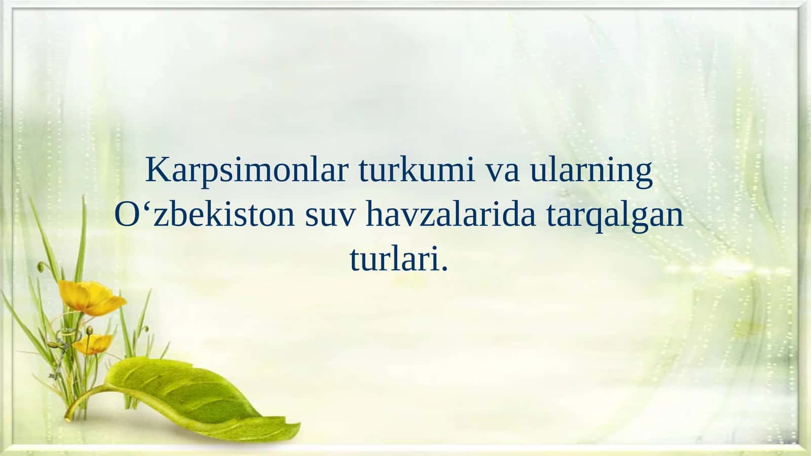 Karpsimonlar 1