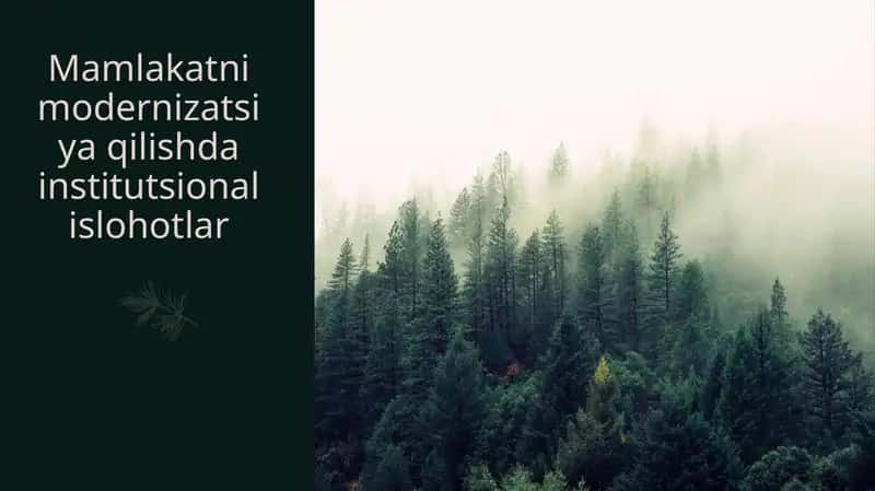 Mamlakatni modernizatsiya qilishda institutsional islohotlar 1