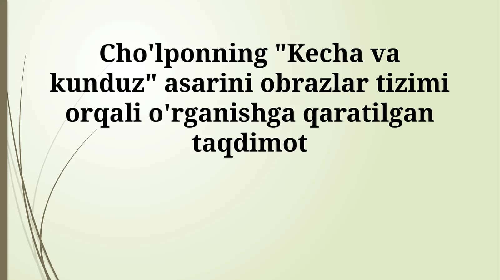 Cho'lponning "Kecha va kunduz" asarini obrazlar tizimi orqali o'rganishga qaratilgan taqdimot 1