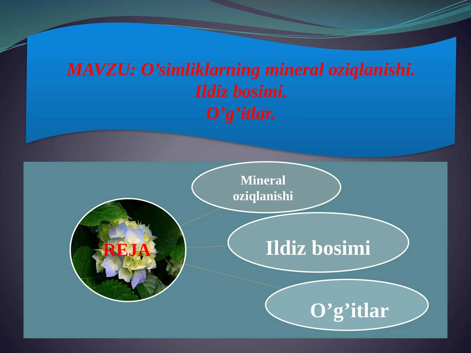 O’simliklarning mineraloziqlanishi 1