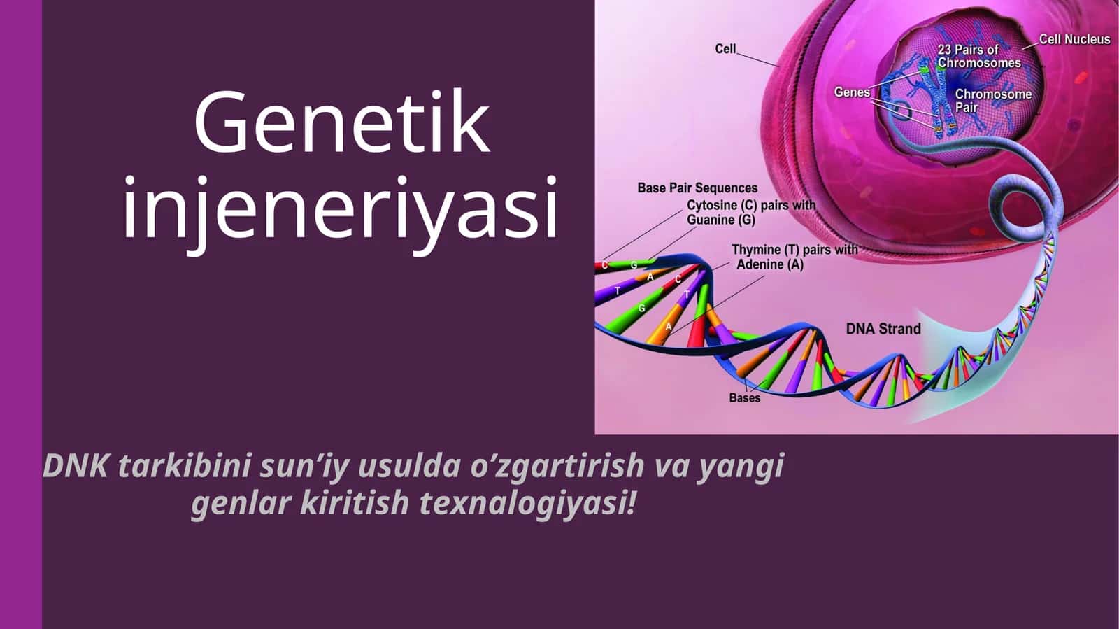 Genetik injeneriyasi 1
