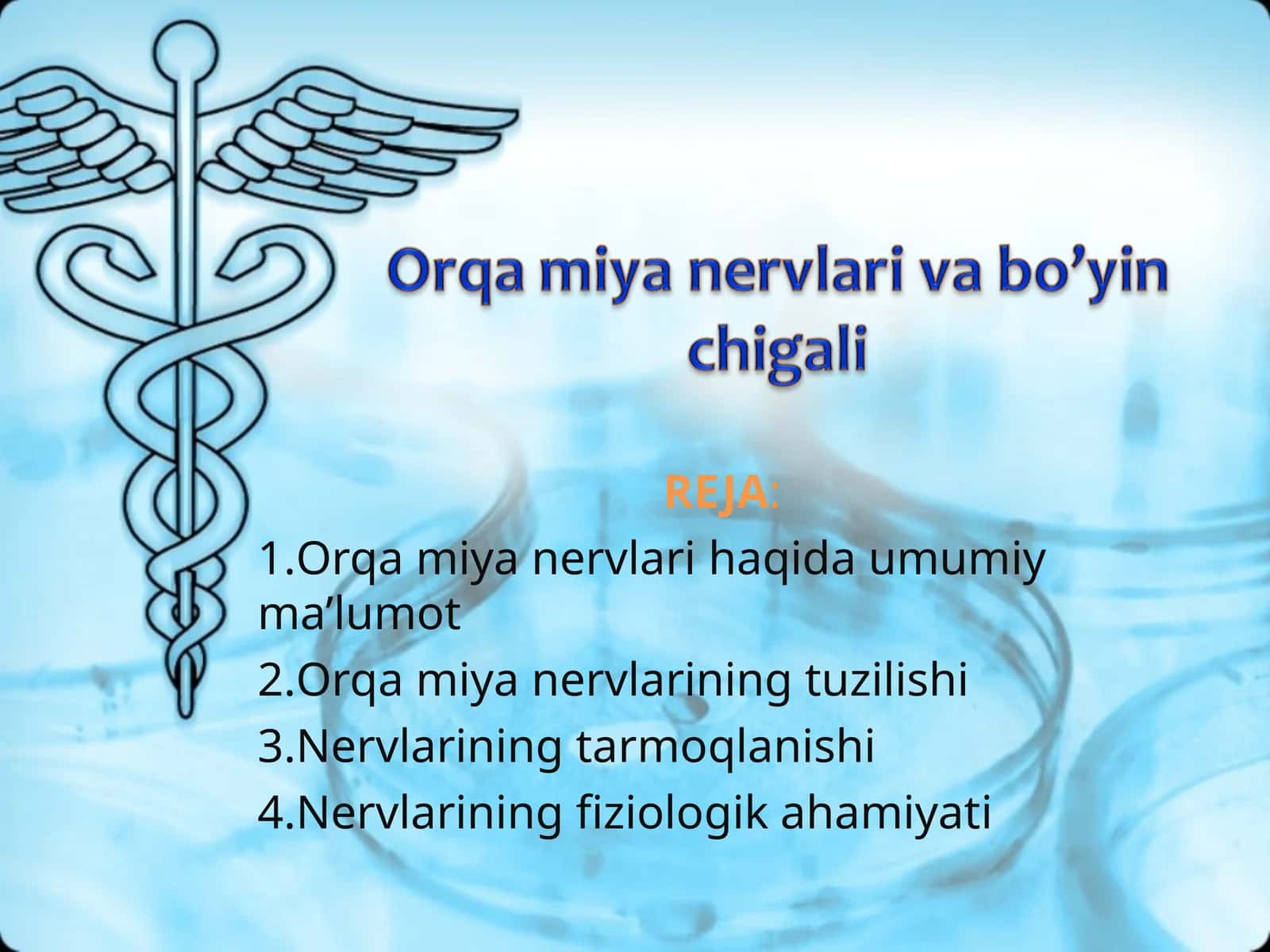 ORQA MIYA NERVLARI 1
