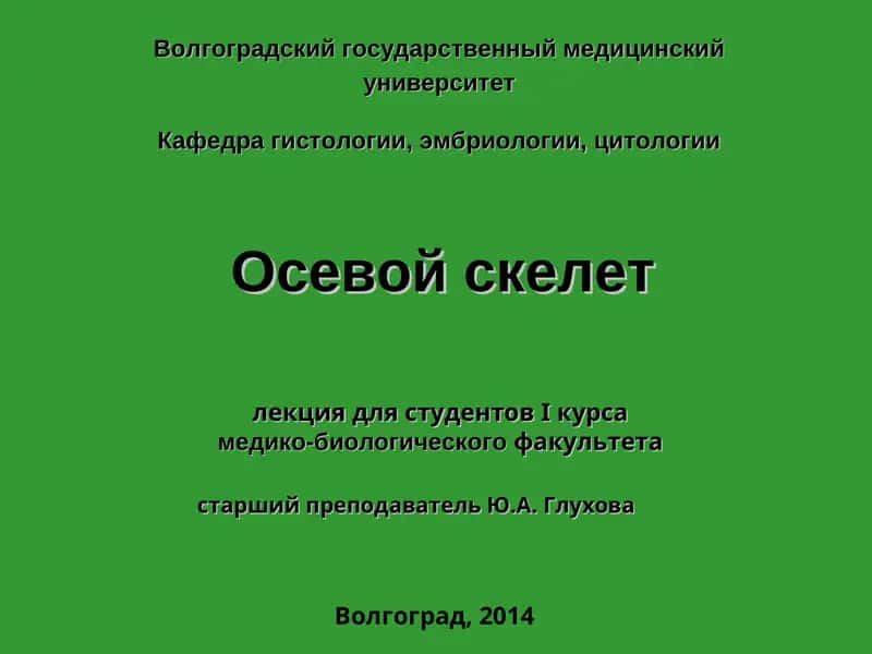 Осевой скелет 1