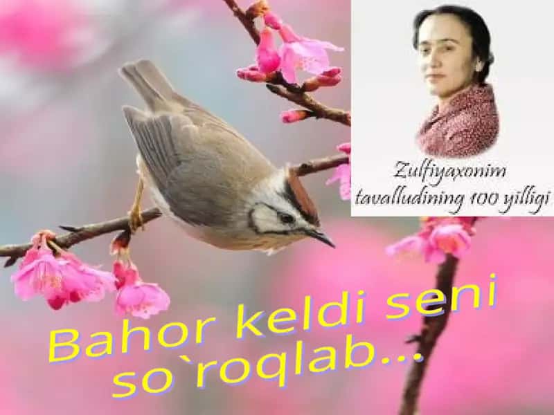 Zulfiyahayoti va ijodi 1