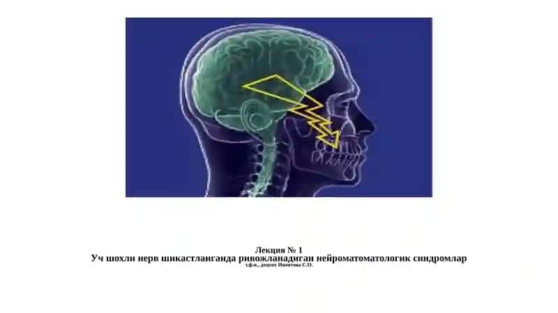 Учшохли нерв