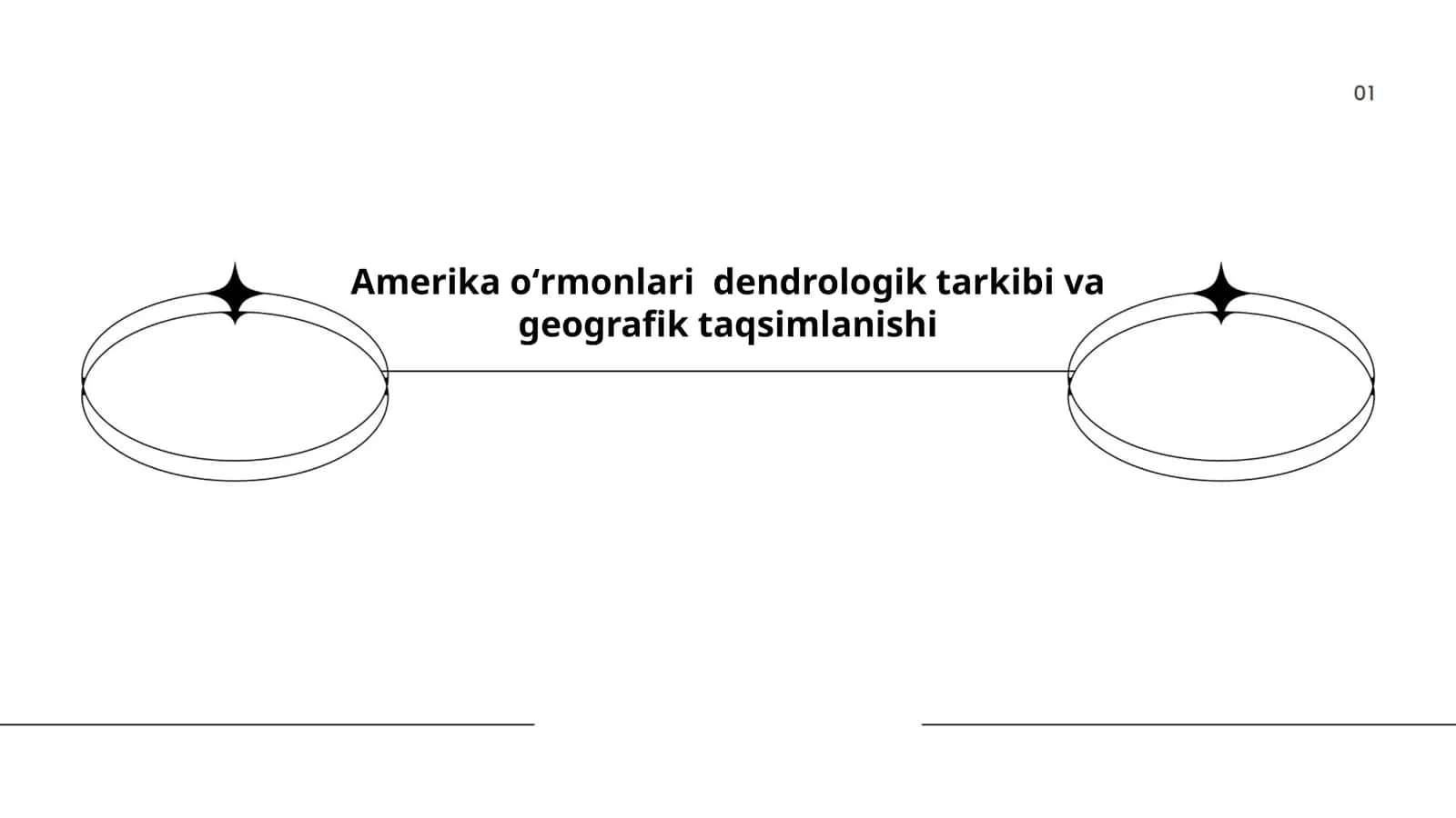 Amerika oʻrmonlari dendrologik tarkibi va geografik taqsimlanishi 1