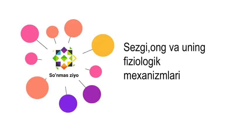 Sezgi, ong va uning fiziologik mexanizmlari 1