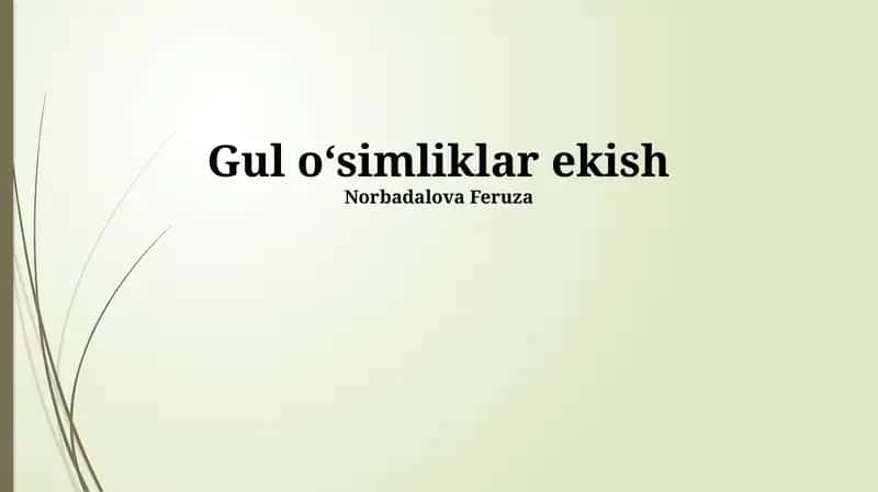 Gul oʻsimliklar ekish 1